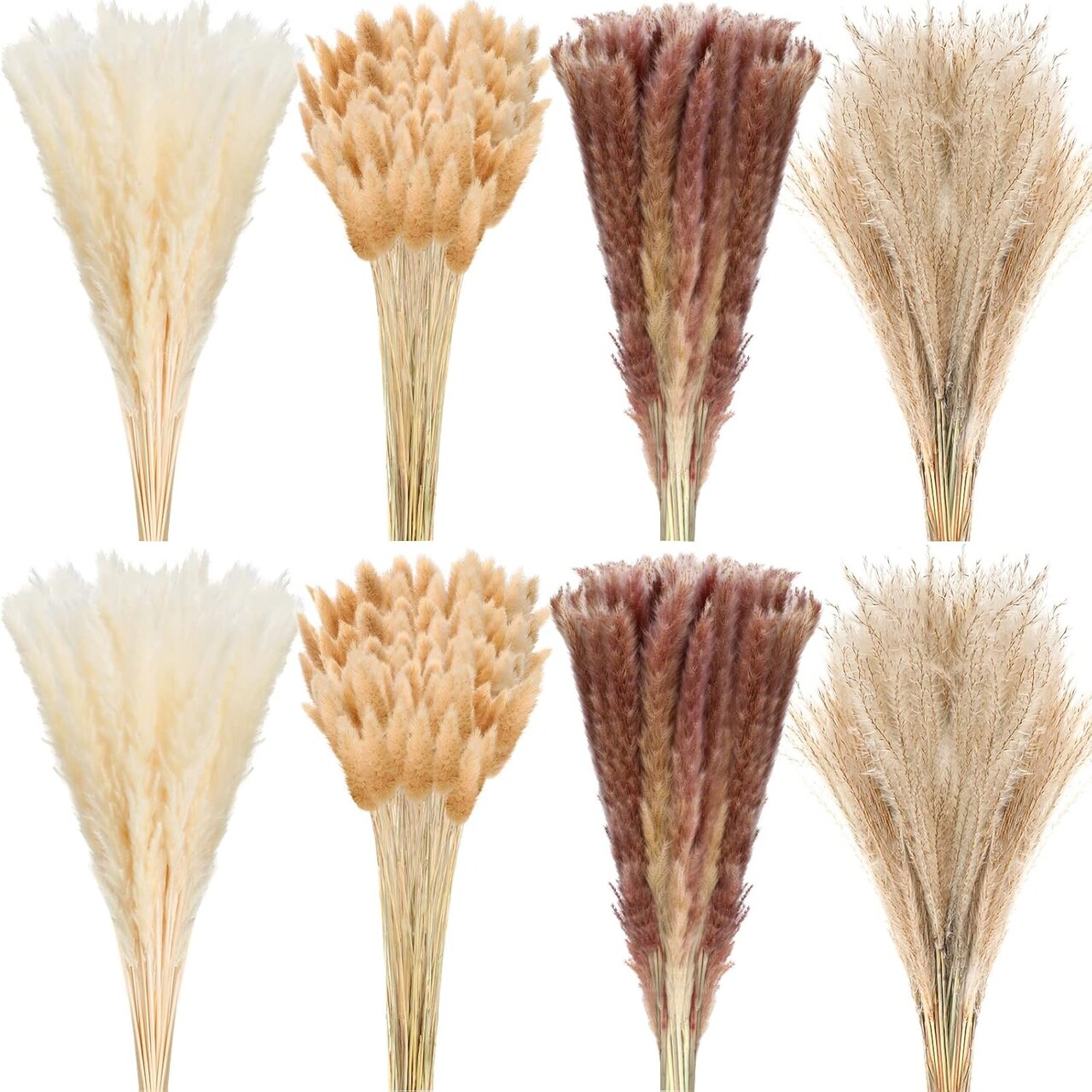 280 Pcs Natural Dried Pampas Grass Decor 17 Inch(Pampas Grass, Reed Grass)